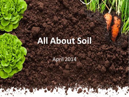 All About Soil April 2014. Soil Soil is made up of rock material that has been broken down over time into tiny grains by wind and rain. Soil also contains.
