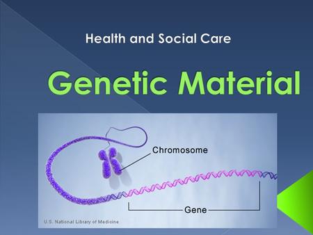 DNA LABEL YOUR WORKSHEET GENE CELL DNA CHROMOSOME NUCLEUS.