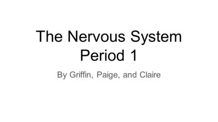 The Nervous System Period 1 By Griffin, Paige, and Claire.