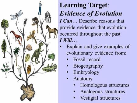Learning Target: Evidence of Evolution I Can… Describe reasons that provide evidence that evolution occurred throughout the past I Will… Explain and give.