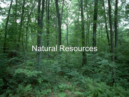 Natural Resources. Renewable Resources: are ones that can be replaced in nature at a rate close to their rate of use Oxygen Trees Food Sunlight.