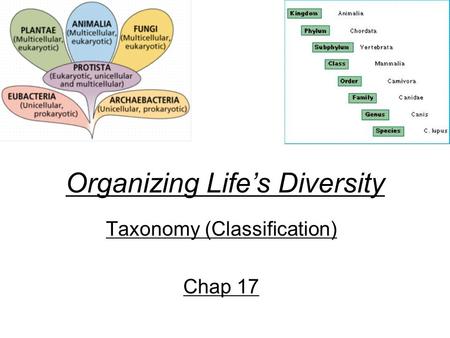 Organizing Life’s Diversity Taxonomy (Classification) Chap 17.