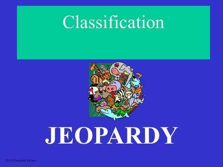 Classification JEOPARDY S2C06 Jeopardy Review ClassificationVocabulary What Kingdom is it? Misc. Early Taxonomy 100 200 300 400 500.