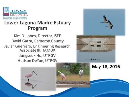 Lower Laguna Madre Estuary Program Kim D. Jones, Director, ISEE David Garza, Cameron County Javier Guerrero, Engineering Research Associate III, TAMUK.