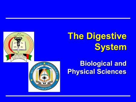 Biological and Physical Sciences The Digestive System.