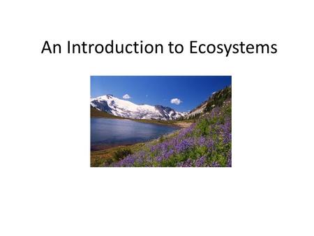 An Introduction to Ecosystems SNC 1DI. Unit Objectives By the end of this unit, I should be able to: – Understand the similarities and differences between.
