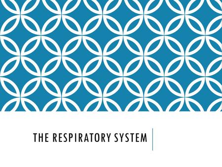 THE RESPIRATORY SYSTEM. RESPIRATORY SYSTEM Respiratory System exchanges gases between the body and the environment.