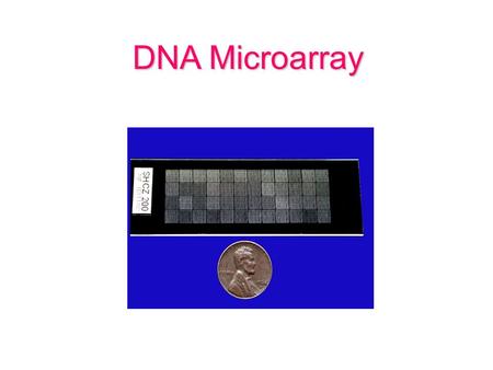 DNA Microarray. Microarray Printing 96-well-plate (PCR Products) 384-well print-plate Microarray.