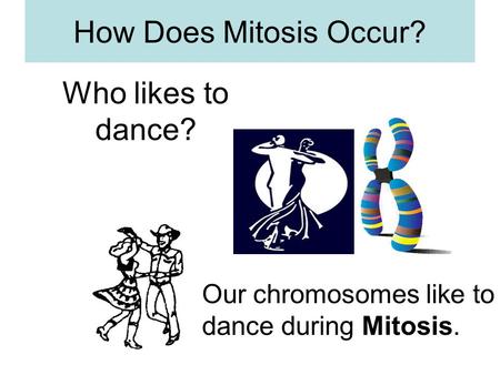 How Does Mitosis Occur? Our chromosomes like to dance during Mitosis. Who likes to dance?