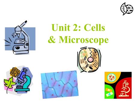 Unit 2: Cells & Microscope. Cell Objectives: 1. Know the Organization of life. 2. Know who first saw cells. 3. Know The Cell Theory. 4. Know the differences.