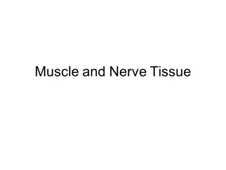 Muscle and Nerve Tissue. Muscle and Nervous Muscle Tissues: Capable of contracting or shortening Moves body parts Produce heat.