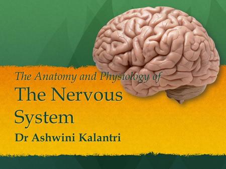 The Anatomy and Physiology of The Nervous System Dr Ashwini Kalantri.