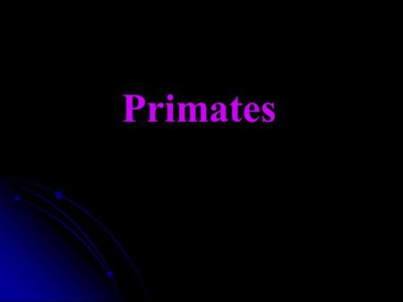 Primates Basically arboreal adaptation Binocular vision Padded digits w/nails Color vision Primates.