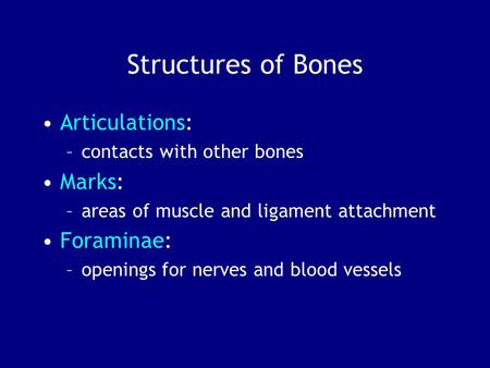 Structures of Bones Articulations: –contacts with other bones Marks: –areas of muscle and ligament attachment Foraminae: –openings for nerves and blood.