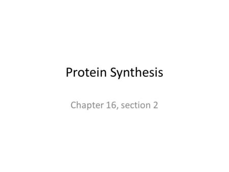 Protein Synthesis Chapter 16, section 2. The sequence (order) of bases in a strand of DNA makes the code for building proteins. EX: The three bases “CCA”