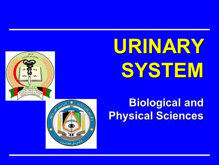 Biological and Physical Sciences URINARY SYSTEM. OBJECTIVE Identify functions and components of the urinary system in relation to Public Health.