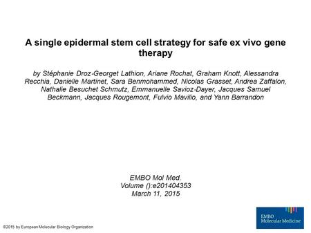 A single epidermal stem cell strategy for safe ex vivo gene therapy by Stéphanie Droz ‐ Georget Lathion, Ariane Rochat, Graham Knott, Alessandra Recchia,