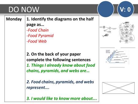 DO NOW V: 0 Monday1. Identify the diagrams on the half page as… -Food Chain -Food Pyramid -Food Web 2. On the back of your paper complete the following.