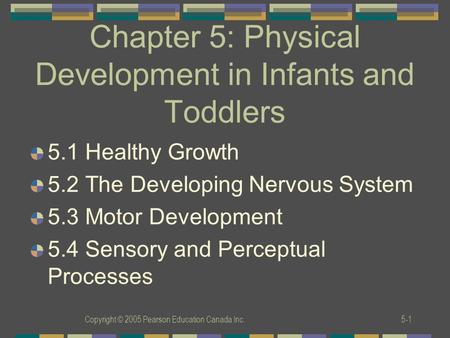 Copyright © 2005 Pearson Education Canada Inc.5-1 Chapter 5: Physical Development in Infants and Toddlers 5.1 Healthy Growth 5.2 The Developing Nervous.