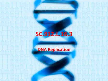SC.912.L.16.3 DNA Replication. – During DNA replication, a double-stranded DNA molecule divides into two single strands. New nucleotides bond to each.
