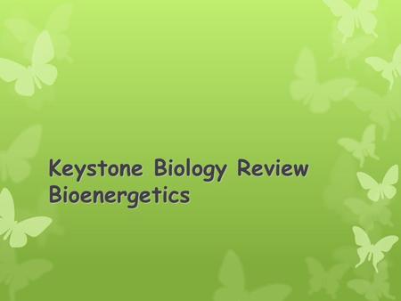 Keystone Biology Review Bioenergetics. Bioenergetics  The role of plastids (i.e. chloroplasts) and mitochondria in energy transformations  Chloroplasts: