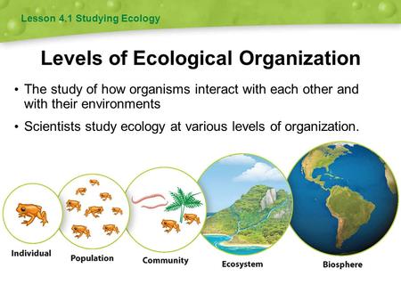 Levels of Ecological Organization The study of how organisms interact with each other and with their environments Scientists study ecology at various levels.