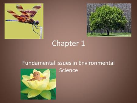 Chapter 1 Fundamental issues in Environmental Science.