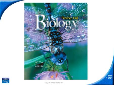 Slide 1 of 21 Copyright Pearson Prentice Hall Biology.