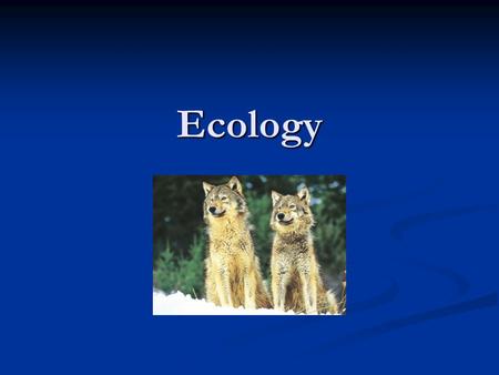 Ecology. Ecology Introduction What is Ecology? What is Ecology? What is an abiotic factor? What is an abiotic factor? What provides energy to most environments?