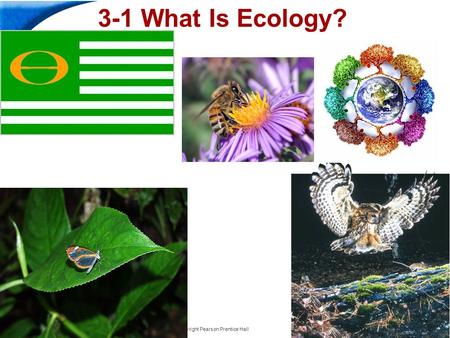 End Show Slide 1 of 21 Copyright Pearson Prentice Hall 3-1 What Is Ecology?