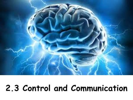 2.3 Control and Communication. Learning Intentions Describe and identify the structures of the brain as the cerebrum, the cerebellum and the medulla and.