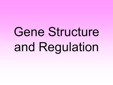 Gene Structure and Regulation. Gene Expression The expression of genetic information is one of the fundamental activities of all cells. Instruction stored.