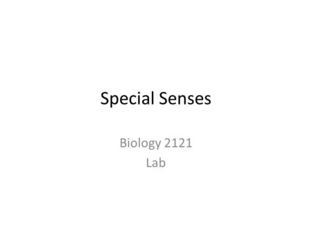 Special Senses Biology 2121 Lab. The Eye - Structure Layers of the Wall of the Eyeball – 1. Fibrous – 2. Vascular – 3. Inner Layer (Retina)