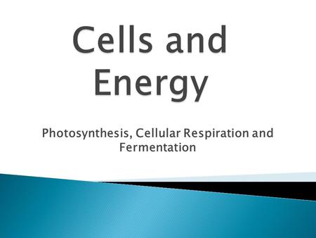 Photosynthesis, Cellular Respiration and Fermentation.
