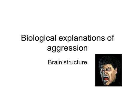 Biological explanations of aggression Brain structure.