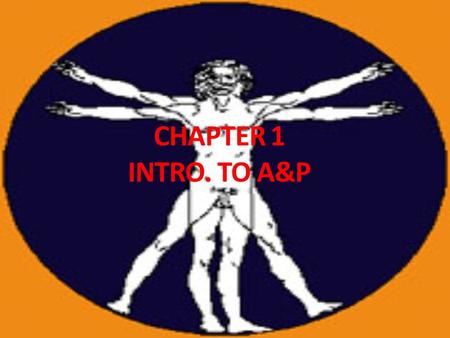 CHAPTER 1 INTRO. TO A&P. Intro to A&P Anatomy – Physiology – deals with functions & how body parts operate.