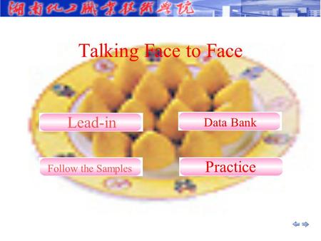 Talking Face to Face Practice Data Bank Lead-in Follow the Samples.