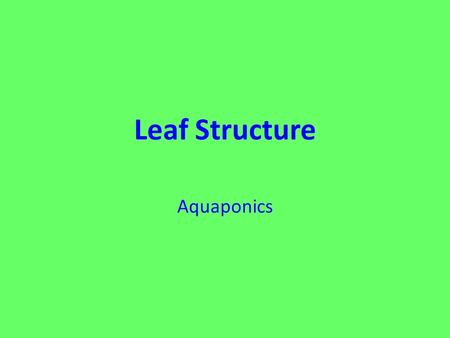 Leaf Structure Aquaponics. Leaf Structure-Dermal layers Cuticle-The thin waxy covering on the outer surface of the leaf has a thin waxy covering This.