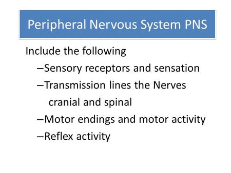 Peripheral Nervous System PNS Include the following – Sensory receptors and sensation – Transmission lines the Nerves cranial and spinal – Motor endings.