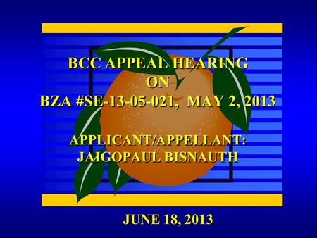 JUNE 18, 2013 BCC APPEAL HEARING ON BZA #SE-13-05-021, MAY 2, 2013 APPLICANT/APPELLANT: JAIGOPAUL BISNAUTH.