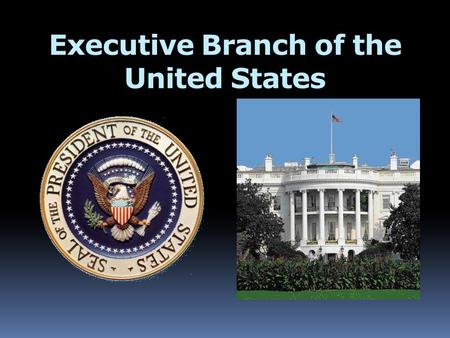 Executive Branch of the United States. The President  Leads Executive Branch  Head of State/Head of Government  Highest Political Official in the U.S.