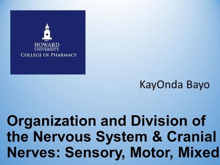 Organization and Division of the Nervous System & Cranial Nerves: Sensory, Motor, Mixed KayOnda Bayo.