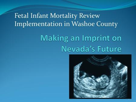 1 Fetal Infant Mortality Review Implementation in Washoe County.