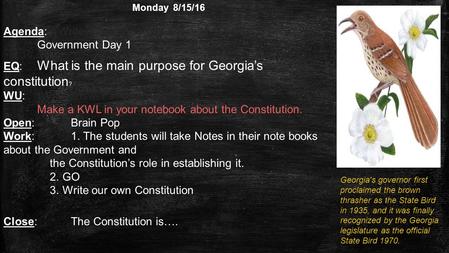 Monday 8/15/16 Agenda: (Write in agenda.) Get Syllabus signed. Government Day 1 EQ: What is the main purpose for Georgia’s constitution ? WU: (Write answer.