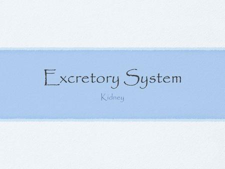 Excretory System Kidney. Things that are excreted: Large intestine/rectum/anus Feces - digestive system waste Lungs CO 2 and Water Skin - sweat glands.