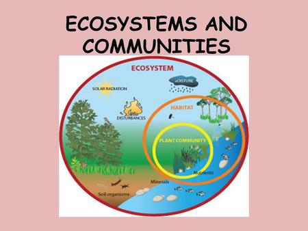 ECOSYSTEMS AND COMMUNITIES. Learning Goal: In this lesson we will learn about abiotic and biotic components of an ecosystem. We will also learn about.