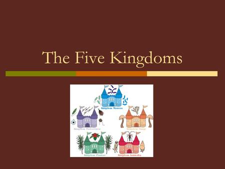 The Five Kingdoms.  Most modern scientists use the five kingdom system of classification.  Any system of classification is somewhat artificial.  It.
