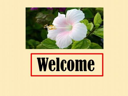 Welcome How are you students? Introduction: Name: Malay Ballav Assistant teacher (computer) B.D.C.H High School Muladi, Barisal. Mobile No: 01725671171.