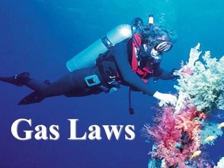 Gas Laws. GAS LAWS They’ll save your life! Boyle’s Law Charles’s Law Lussac’s Law Avogadro’s Law –Molar Volume Combined Gas Law Ideal Gas Law.