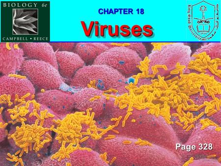 1 VirusesViruses Page 328 CHAPTER 18. 2 Fig. 18.1, Page 329 1- Viruses are much smaller than bacteria 4- A virus is a genome حامض نووى enclosed in a protective.